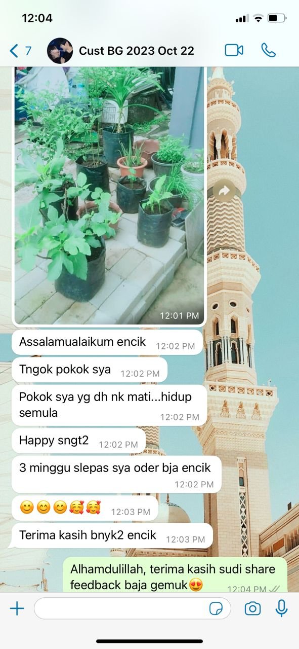 "Pokok hampir mati hidup balik"