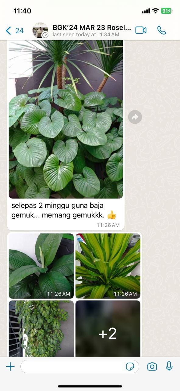 "2 minggu guna Baja Gemuk"