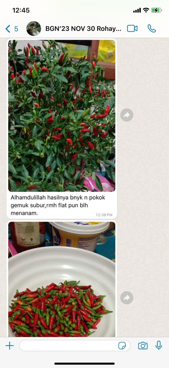 "Rumah flat pun boleh menanam"